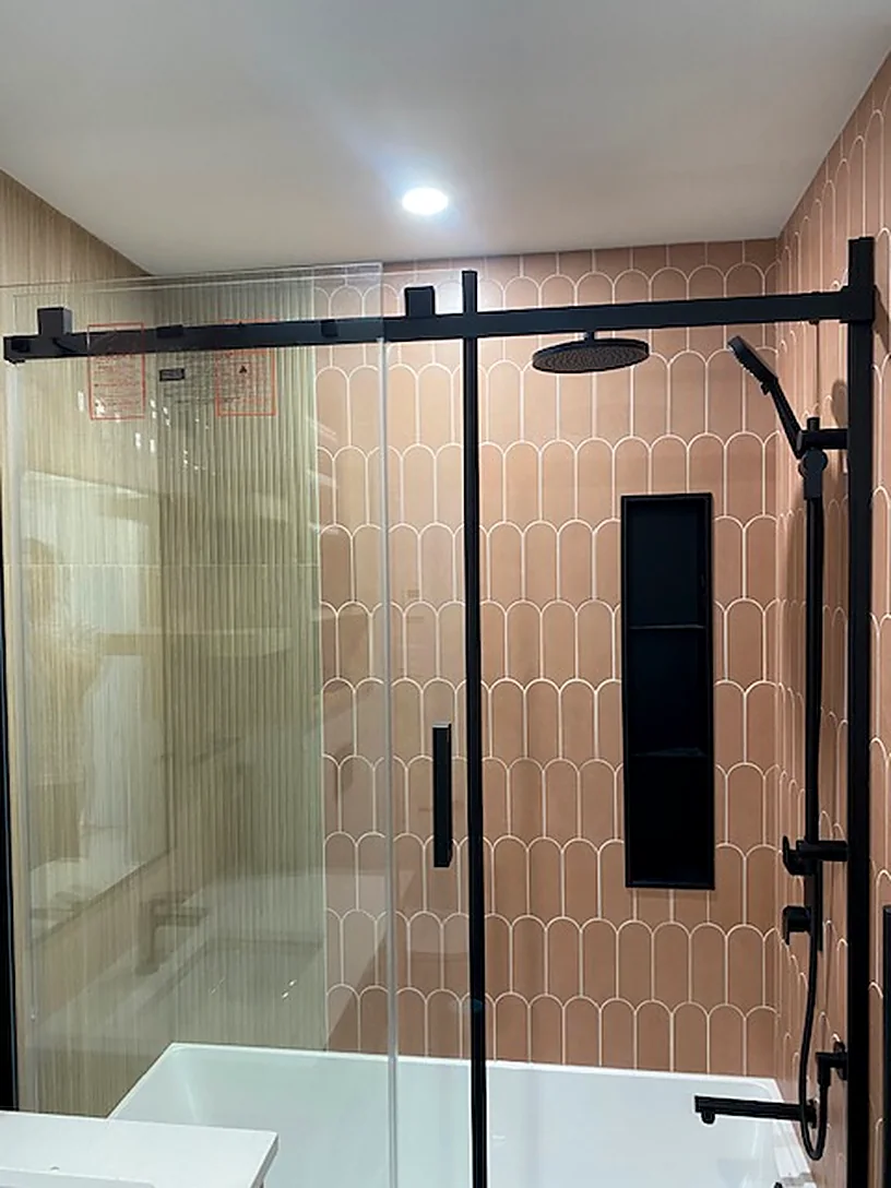 Terracotta fishscale behind black glass