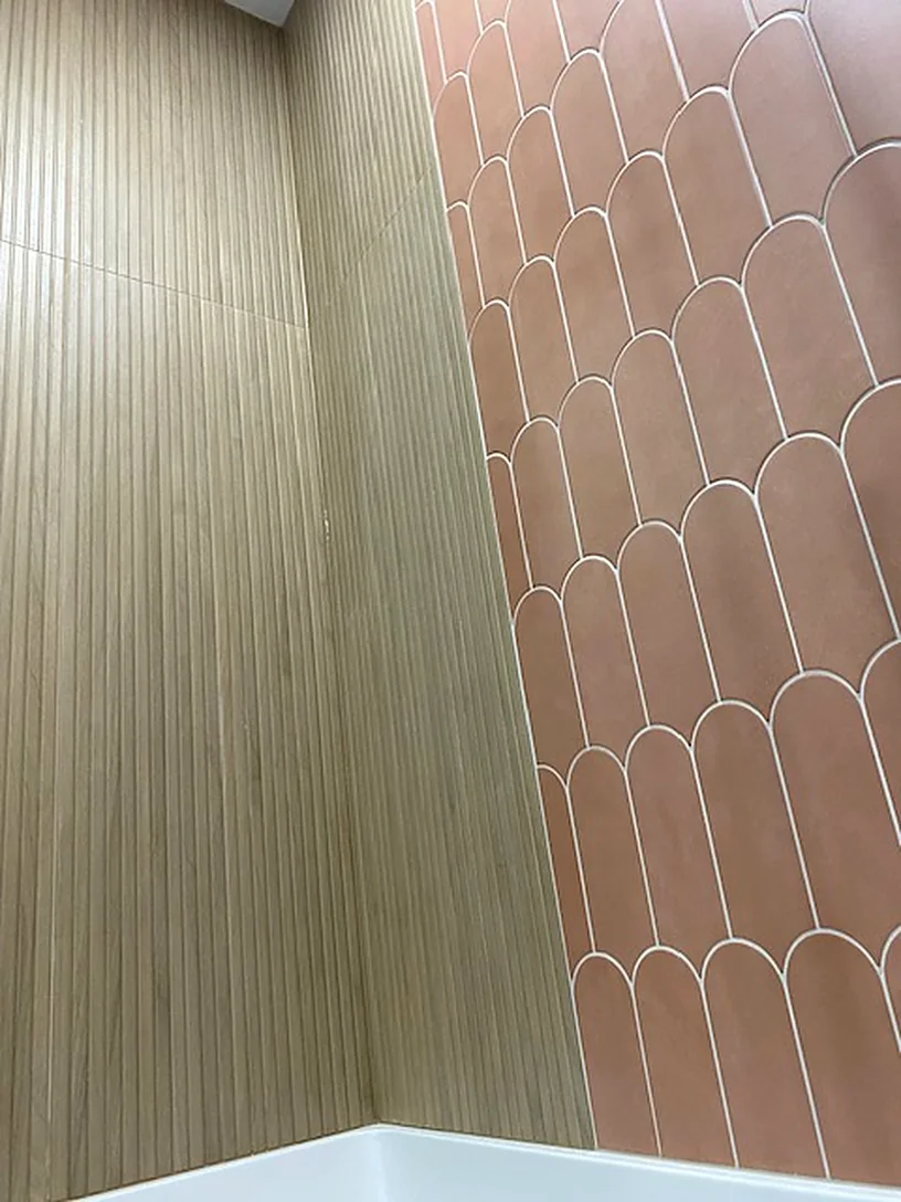 Terracotta fishscale behind black glass
